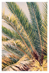 Summer Strong - Fine Art Photograph