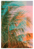 Sun Burn #1- Fine Art Photograph