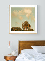 Sun, Palm, Moon - Fine Art Photograph