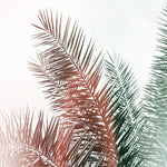 Toasted Sun - Fine Art Photograph