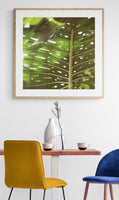 Tropic Light - Fine Art Photograph