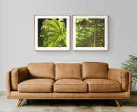 Tropic Light - Fine Art Photograph