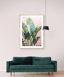 Tropic Pink 1 - Fine Art Photograph