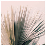 Upwards - Fine Art Photograph