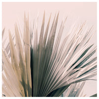 Upwards - Fine Art Photograph