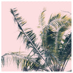 Winds of Change #1 - Fine Art Photograph