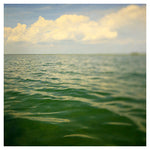 Sea of Green - Fine Art Photograph