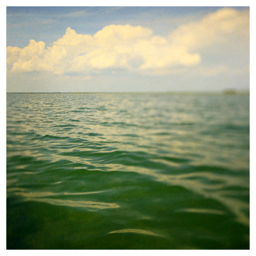 Sea of Green - Fine Art Photograph