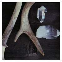 Fable and Fawn - Fine Art Photograph