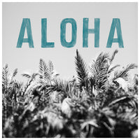 Aloha Palm - Fine Art Photograph