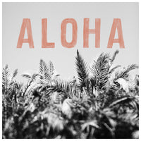 Aloha Palm - Fine Art Photograph