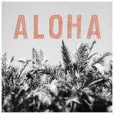 Aloha Palm - Fine Art Photograph