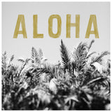 Aloha Palm - Fine Art Photograph