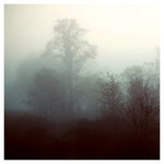 Fog: Steel - Fine Art Photograph