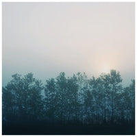 Cobalt - Fine Art Photograph