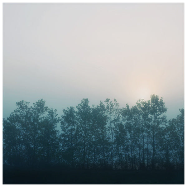 Cobalt - Fine Art Photograph