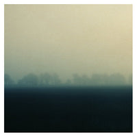 Thick fog and distant trees, photographed by Alicia Bock.