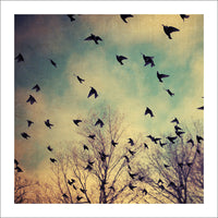 Take-Off - Fine Art Photograph