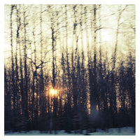 Winter Twilight - Fine Art Photograph