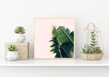 Banana Split - Fine Art Photograph