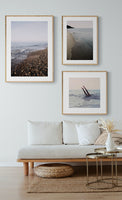 Calm #2 - Fine Art Photograph