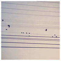 Before the Snow - Fine Art Photograph