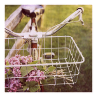 Summer Love - Fine Art Photograph