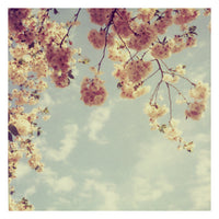 Monday, Monday - Fine Art Photograph