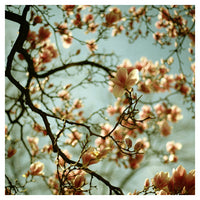 First Light - Fine Art Photograph