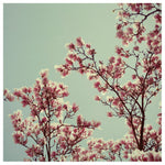 Promise - Fine Art Photograph