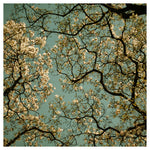 Playing Favorites - Fine Art Photograph