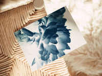 Blue Paeonia - Blank Notecard
