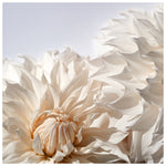 Blushing Bride - Fine Art Photograph