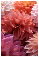Bridesmaids - Fine Art Photograph