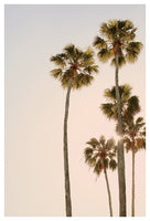 Bright Light - Fine Art Photograph
