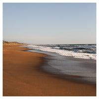 Carefree -  Fine Art Photograph