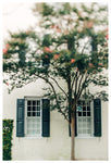 Charleston Charm #1 - Fine Art Photograph