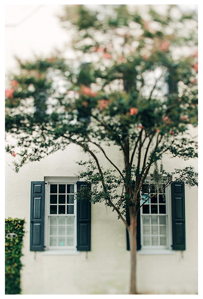 Charleston Charm #1 - Fine Art Photograph