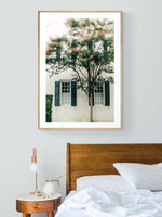 Charleston Charm #1 - Fine Art Photograph