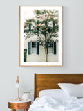 Charleston Charm #1 - Fine Art Photograph
