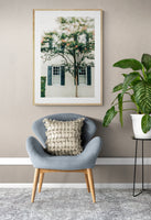 Charleston Charm #1 - Fine Art Photograph