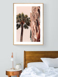 Charleston Palm - Fine Art Photograph