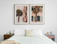 Charleston Palm - Fine Art Photograph