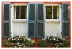 Charleston Window Box #1 - Fine Art Photograph