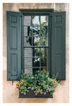 Charleston Window Box #2 - Fine Art Photograph