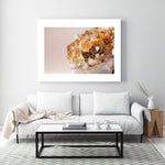 Citrine On Pink - Fine Art Photograph