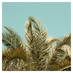 Clearview #3- Fine Art Photograph