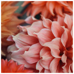 Coexist - Fine Art Photograph