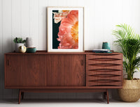 Coral Charm #2 -  Fine Art Photograph