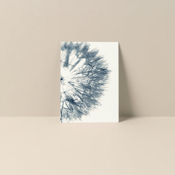 Blank Notecard - Cyan Dandelion